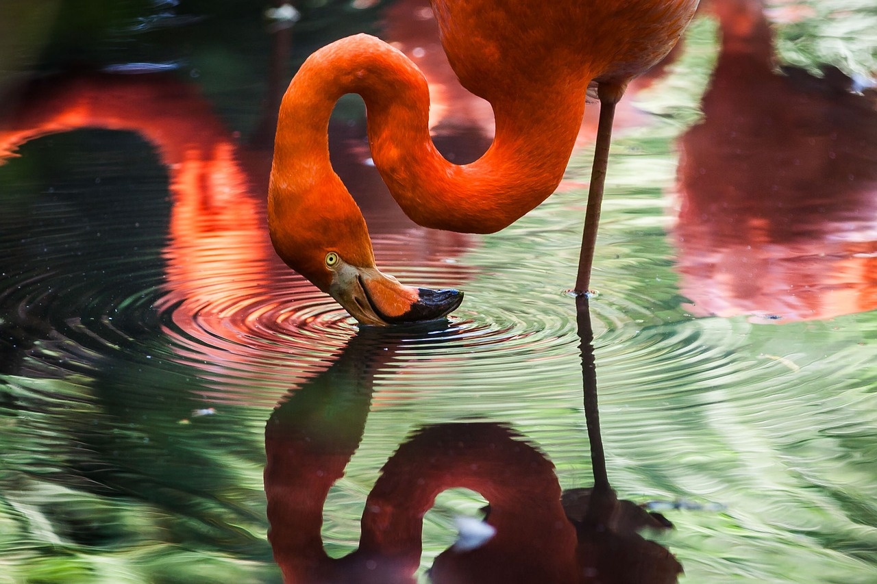 10_-_manyara_1280