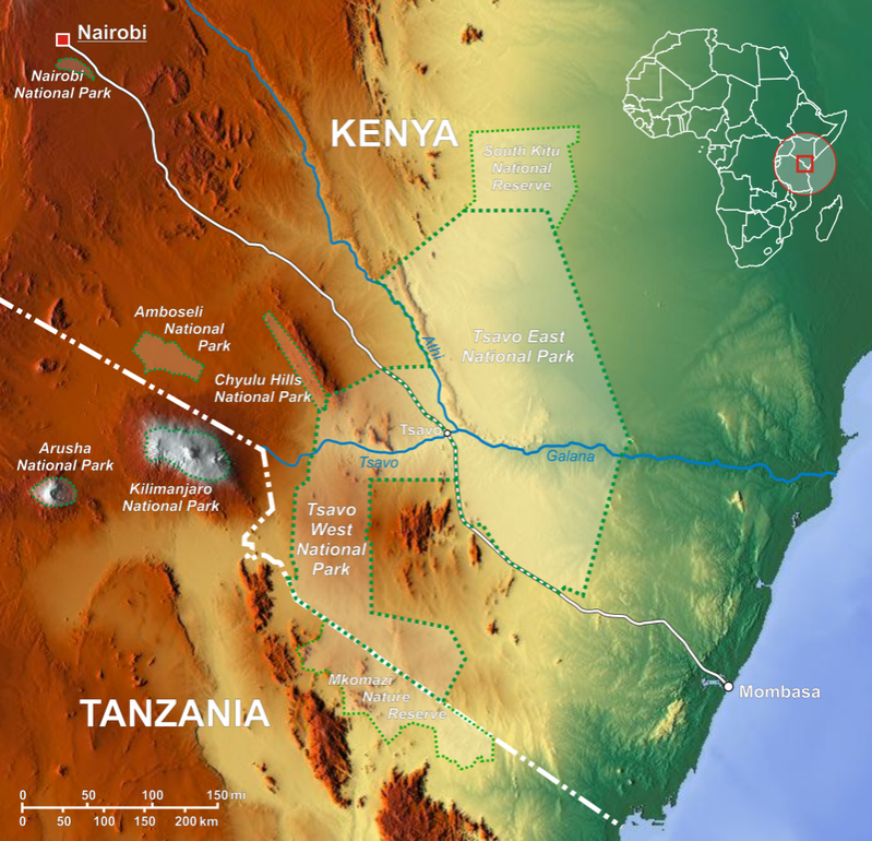 amboseli_-_wikipedia.org_800