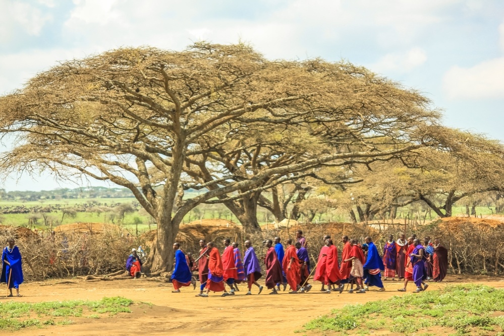 ngorongoro_3._1000