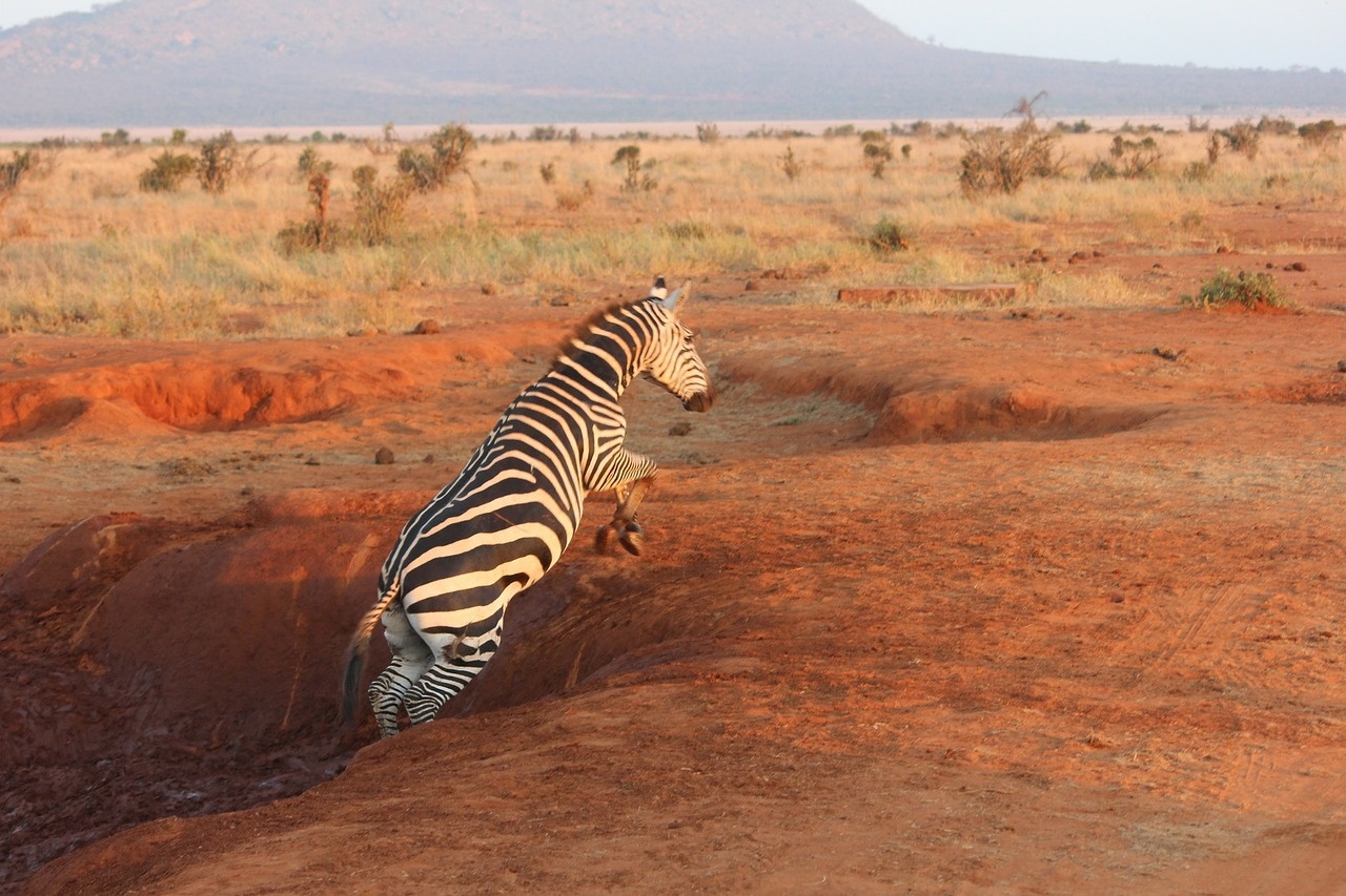 tsavo4_1280