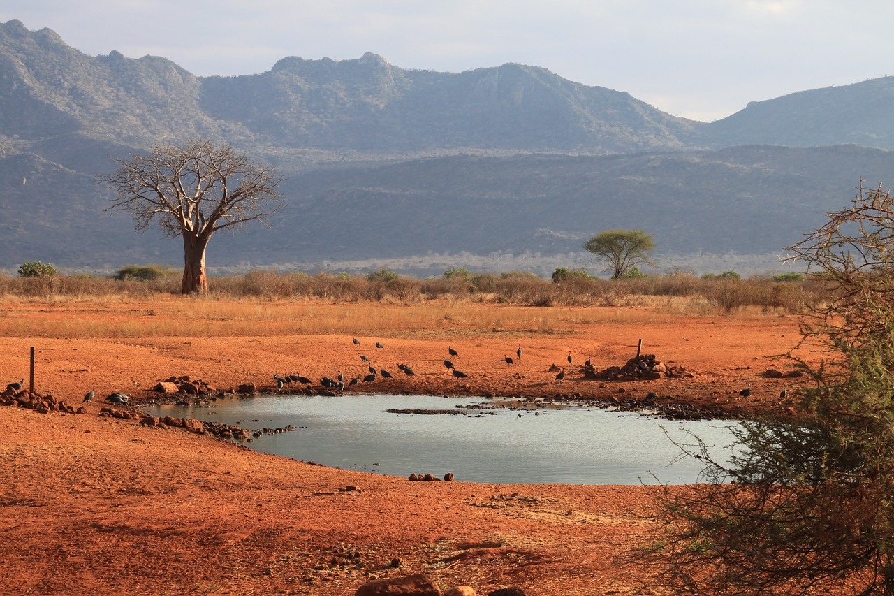 tsavo9_1280